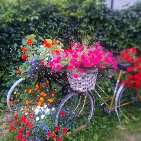 In Masuria With The Charm Of An Old-fashioned House With Garden And With A Smart Wellness-bathroom * Szczytno